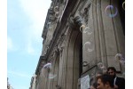 DSC05738.JPG